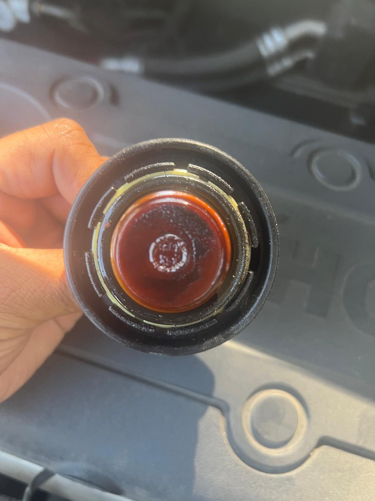 whatsapp image 2025 12 16 at 11.48.47 am (1)