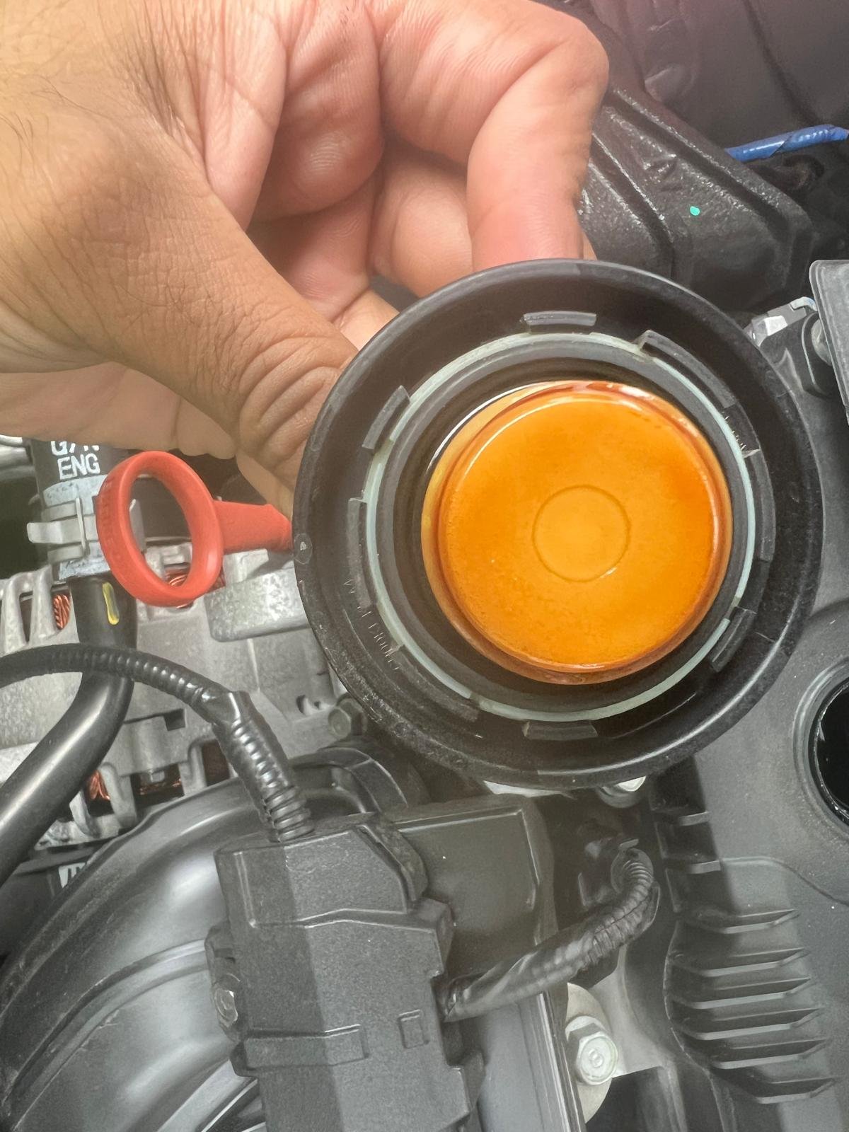 whatsapp image 2025 12 16 at 11.48.47 am (5)