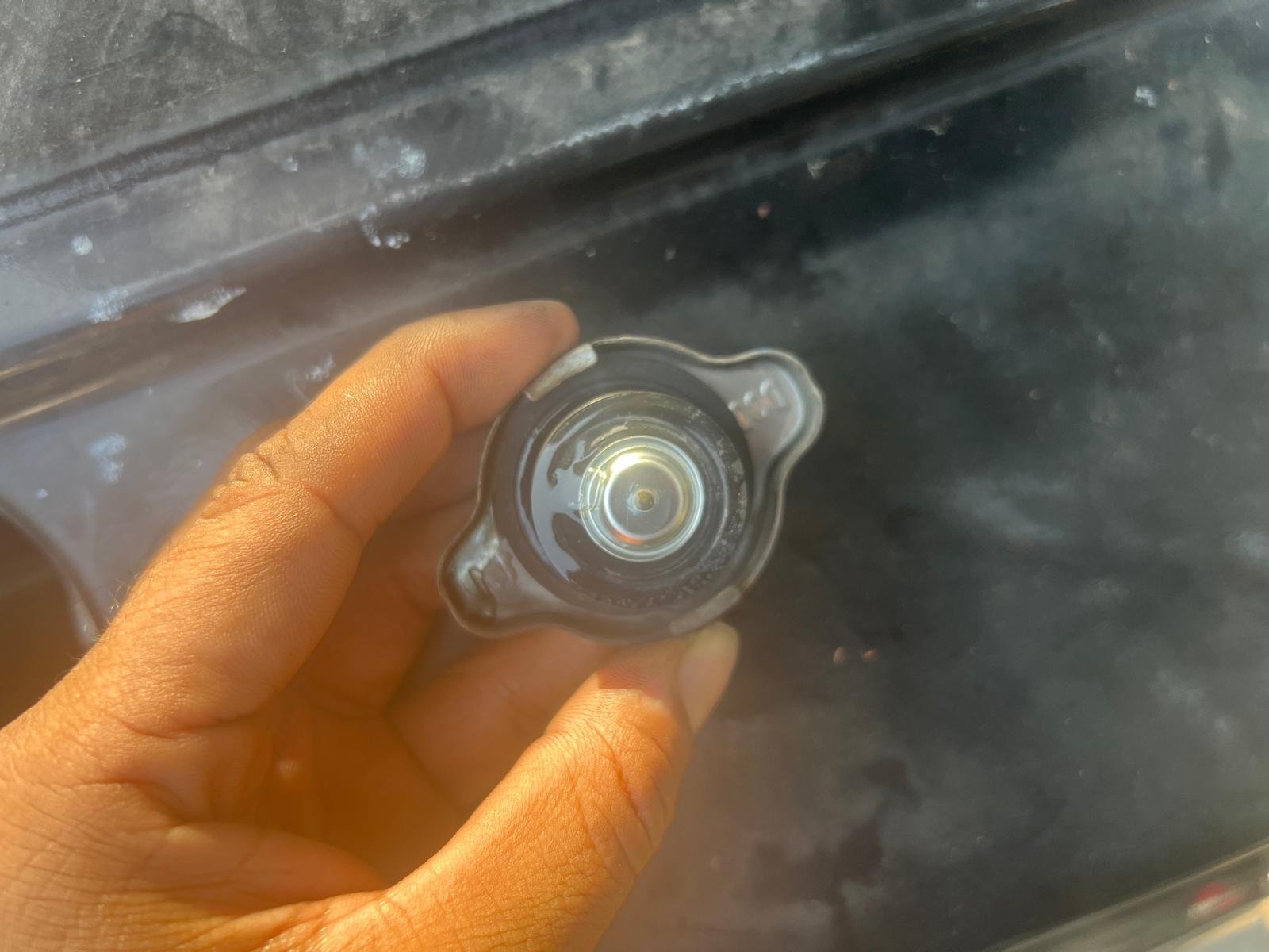 whatsapp image 2025 12 16 at 11.48.47 am