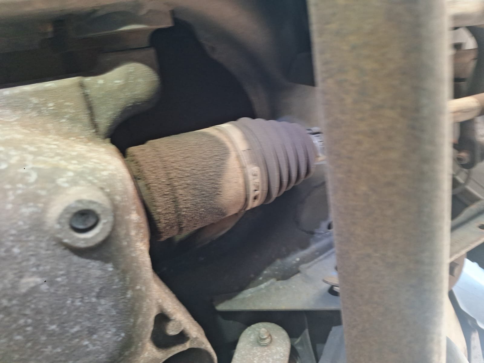 5953755f 1c2e 40bb b0ca 03bfe739d9e3 (1)